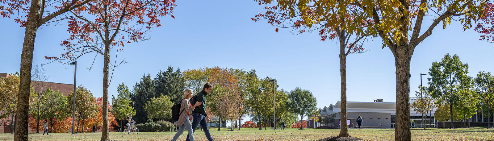 photo of people walking on wright state's campus